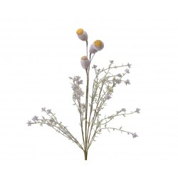 Tige feuille graines mousse...