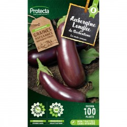 Aubergine Violette de...