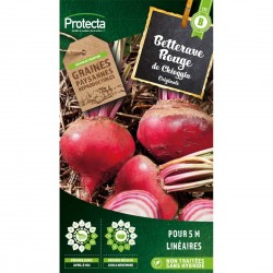 Betterave ronde de Chioggia
