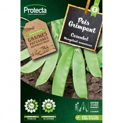 Pois mangetout Caroubel 30g