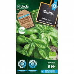 Basilic Grand vert BIO
