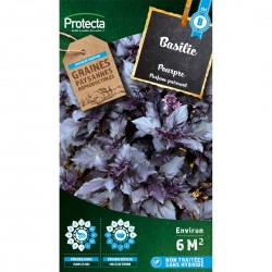 Basilic Pourpre Opal