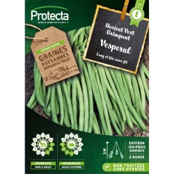Haricot à rames mangetout...