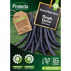 Haricot nain mangetout...