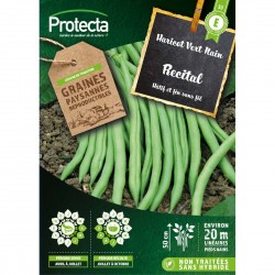 Haricot nain Recital 125g