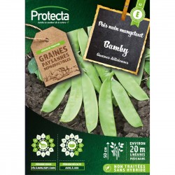 Pois mangetout BAMBY nain 150g