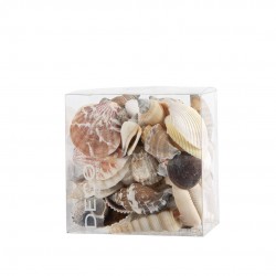 Assortiment Coquillage 600Ml