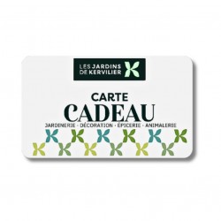 carte-cadeau