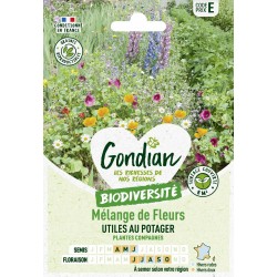 GONDIAN...