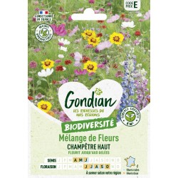 GONDIAN...