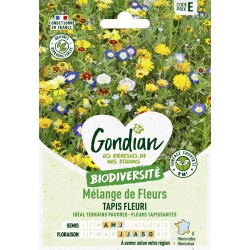 GONDIAN...