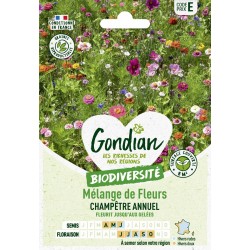 GONDIAN...