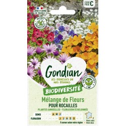 GONDIAN...