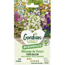 GONDIAN...