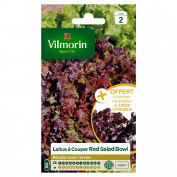 VILMORIN AVEC...