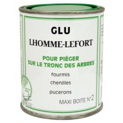 LHOMME-LEFORT SOINS AUX...