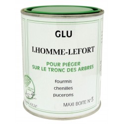 LHOMME-LEFORT SOINS AUX...
