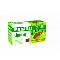 Muraille A Limace Pierre De...