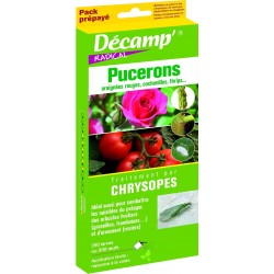 Chrysopes 50 M Aux Chois...