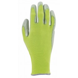Gant COLORS T6 Anis-BLACKFOX