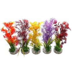 Décor aqua COCKTAIL plantes...