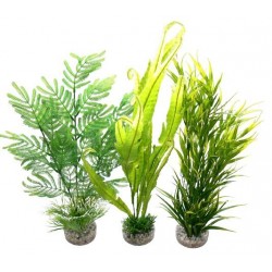 Décor aqua COCKTAIL plantes...