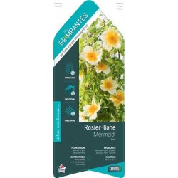 ROSIER 'Mermaid' GPT-PALIS...