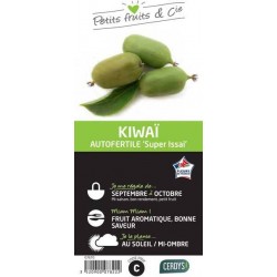 KIWAI autofertile 'Super...