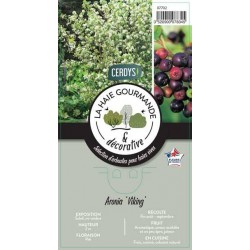 ARONIA prunifolia 'Viking'...