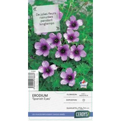 ERODIUM 'Spanish Eyes'...