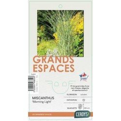 MISCANTHUS sinensis...