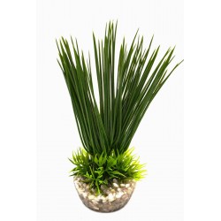 Récif Vert LABÉO