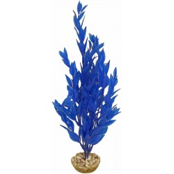 Cycared Bleu LABÉO