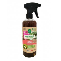 Savon noir Plantes...