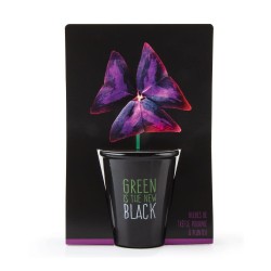 GREEN IS THE NEW BLACK...