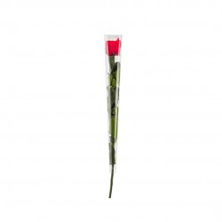 COFFRET Rose STABILISE...