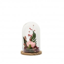 Verrine Stabilisee Cloche...