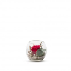 Verrine Stabilisee Venezia...