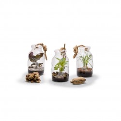 Composition Bottle S 18/10