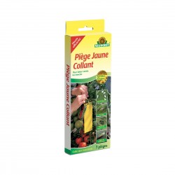 Piège jaune collant pour...