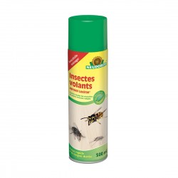 Insectes volants LOXIRAN...