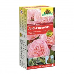 Anti-pucerons action choc...