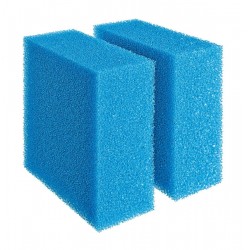 Mousse de rechange bleue...