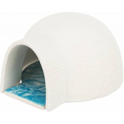Igloo + coussin refrig....