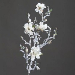 Magnolia Enneigé  Crème 76Cm