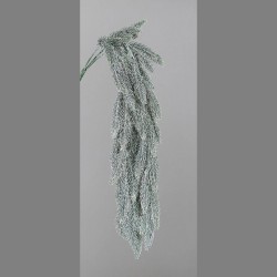 Chute Sapin Glacé   H70
