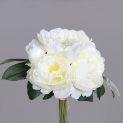 Bouquet Pivoine  Crème H28