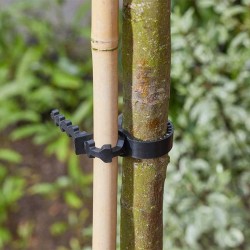 Liens d'arbre 50cm SMART...
