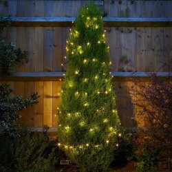 Guirlande 100 LED blanc...