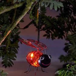 Coccinelle solaire...
